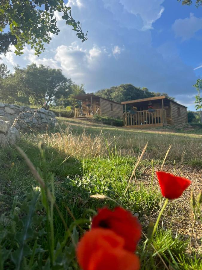 Lodge La De Mercone Crenu Corte (Corsica)