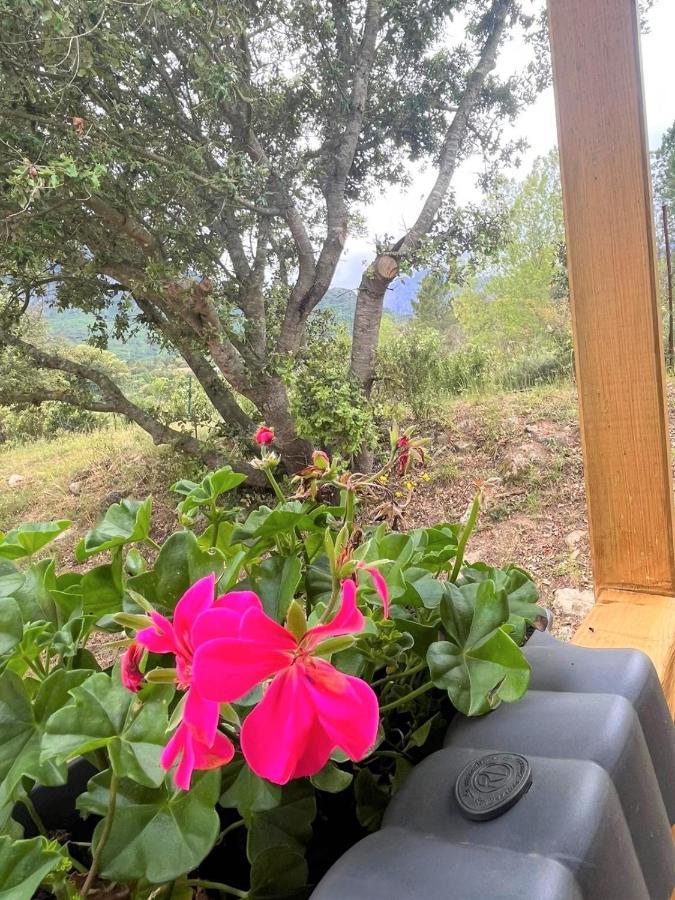 La De Mercone Crenu Lodge
